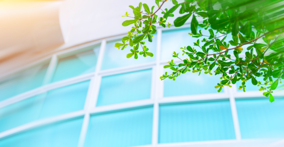Checklist: 4 Steps to a More Energy Efficient and Sustainable Business